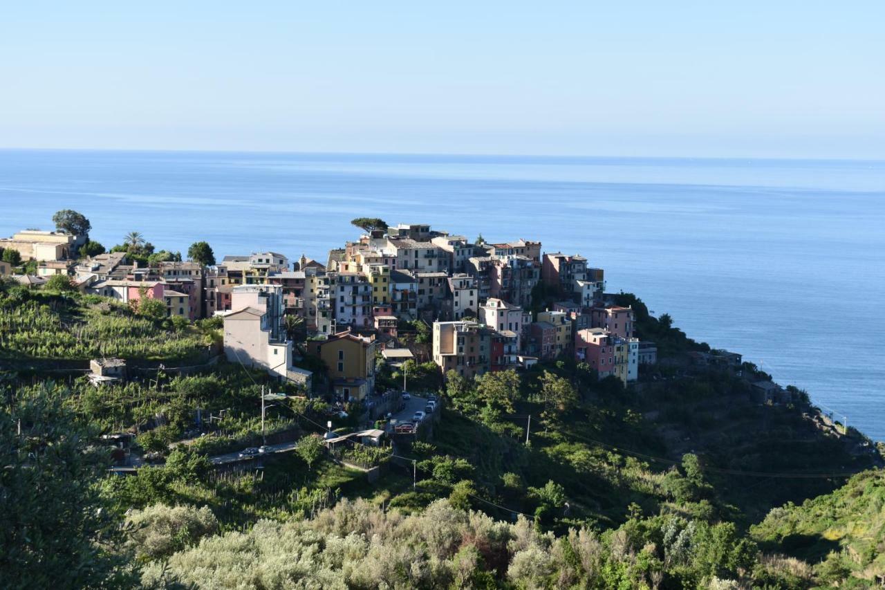 Sea View Cornelia Apartment Corniglia Exterior foto